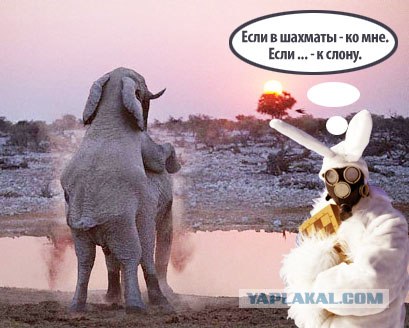 Пятничная Фотожаба: Заяц-Мутант