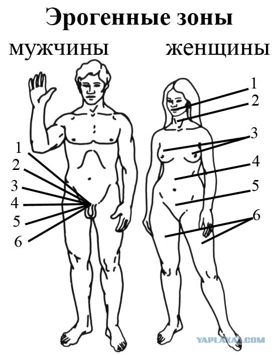 Фотожаба: Привет, земляне!