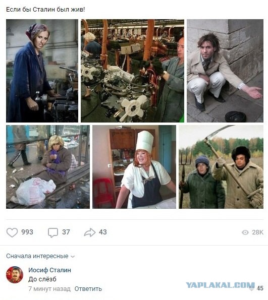 Работа для Тарзана