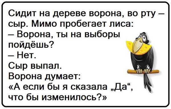 14413078.jpg
