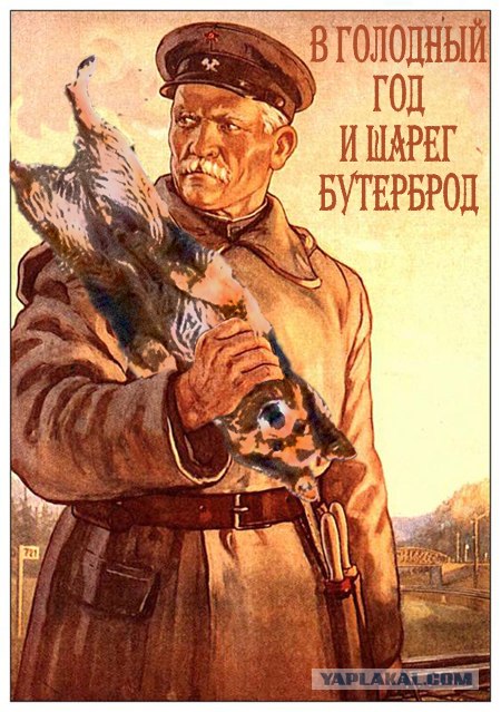 Каникулы в Простоквашино