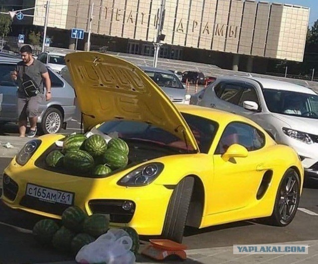 Прикольных фото пост