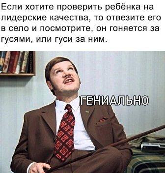 Фотки и картинки: юморные и красивые, забавные и милые 02.11.20