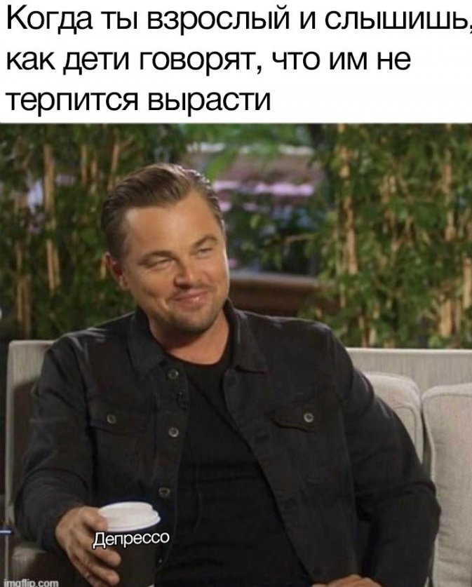 15099078.jpg