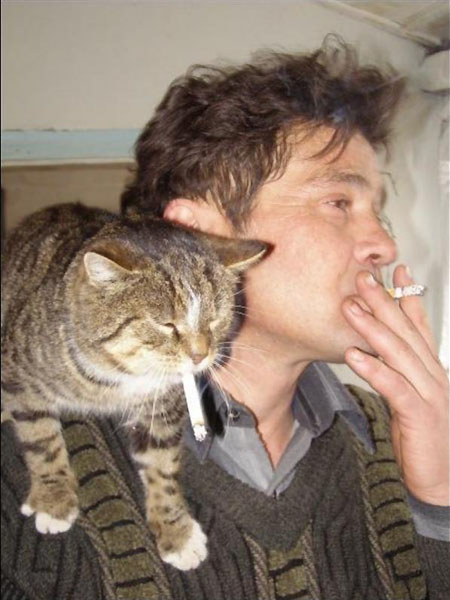 Курящий котёнок