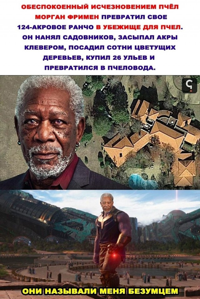 Картинки с надписями и всякие жизненные фразы 27.04.21