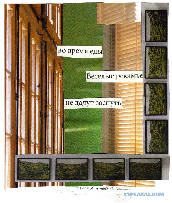 Новые хокку в картинках