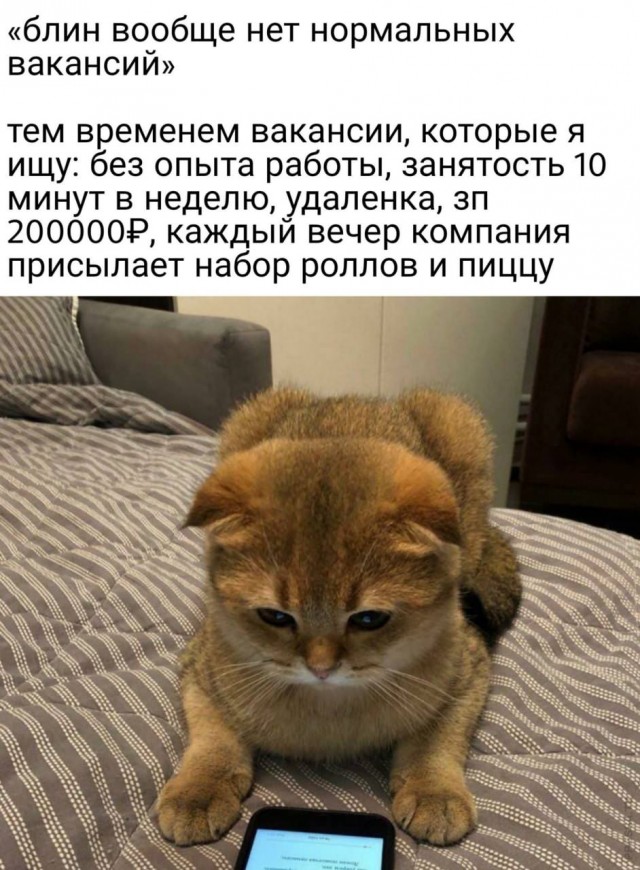 Картинки и мемы для настроения 28.06.2021