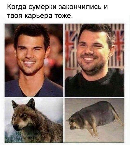 Картинки и мемы для настроения 13.12.2021