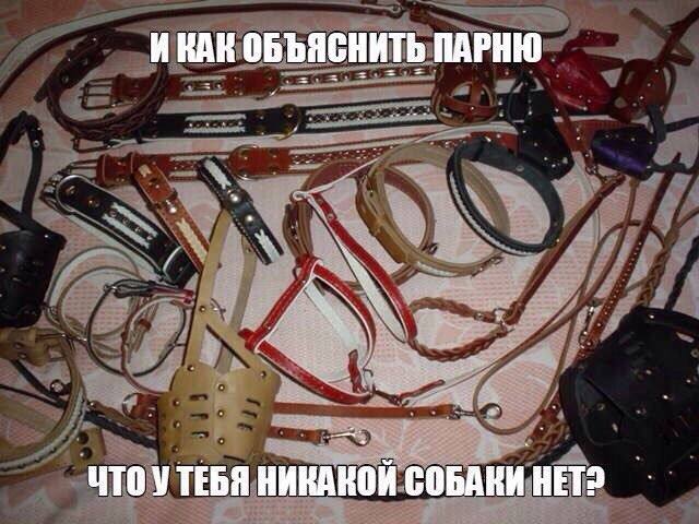 Немного пошлых картинок в ленту