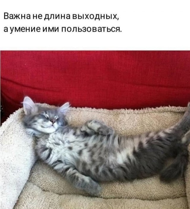Картинки и мемы для настроения 31.03.2022