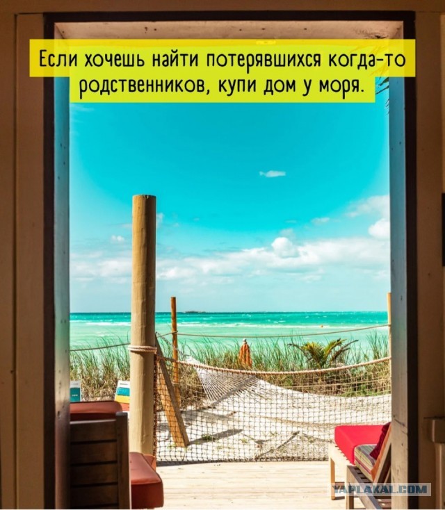 Так себе картинки 24.04.22