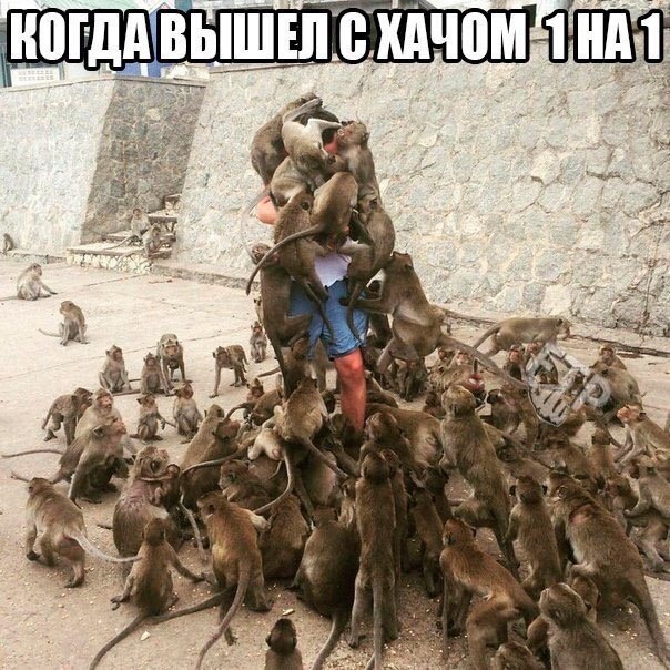 В Сочи толпа кавказцев избила двоих человек