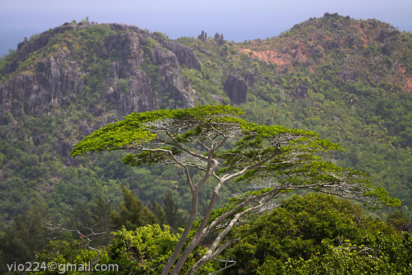 Сейшеллы октябрь 2012