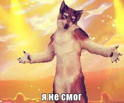 11 самых мускулистых женщин инстаграмма