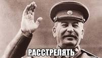 Новые БМП привезли