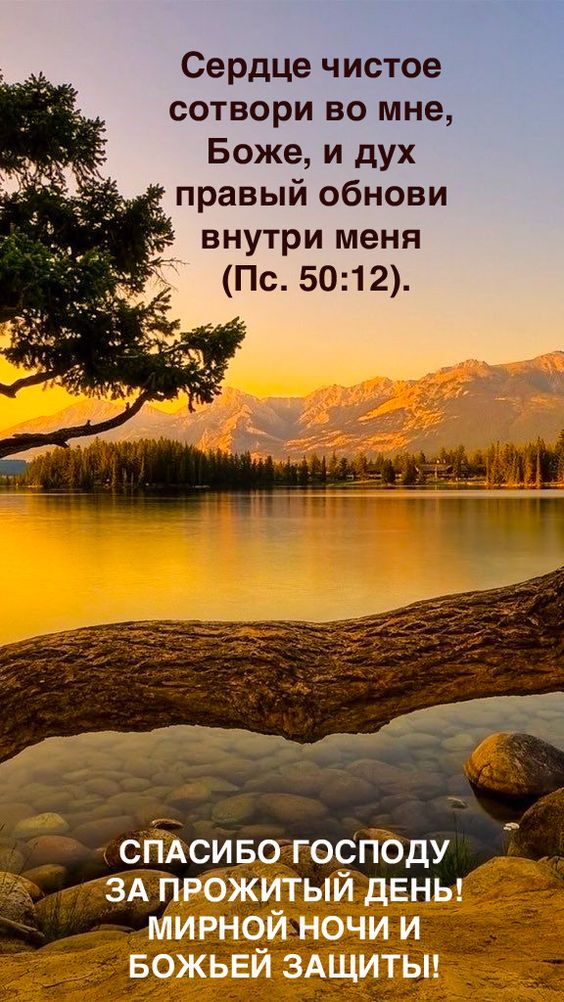 Прикольные и просто красивые картинки 14.07.2023