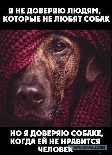 Хочешь узнать, как женщина занимается сексом? Посмотри на то, как она ест