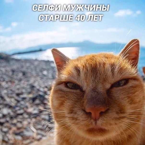 Нос моей мадамы