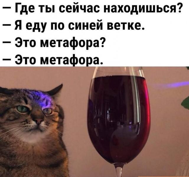 Первый поезд Москва-2024 вышел на зелёную ветку метро
