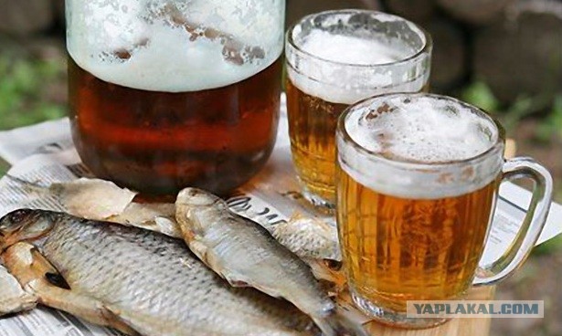 С ДНЕМ РОЖДЕНИЯ, ЯП!