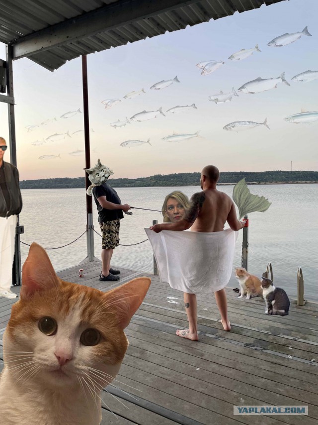 Фотожаба: Эксгибиционист