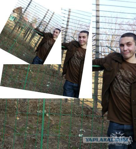 Дикие фото из социальных сетей