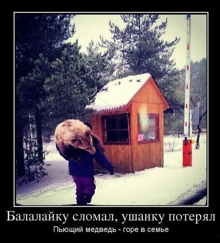 Подытоживая злободневное. «Свободу отцу 100 детей»: соцсети встретили мемами новость о задержании Павла Дурова