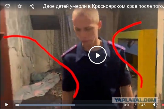 Двое детей умерли в Красноярском крае после того, как поужинали пельменями и курицей из местного магазина