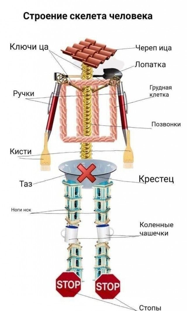 Забавные картинки, шутки из этих ваших интернетов