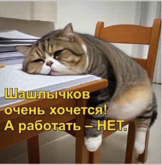 Прикольные и просто красивые картинки