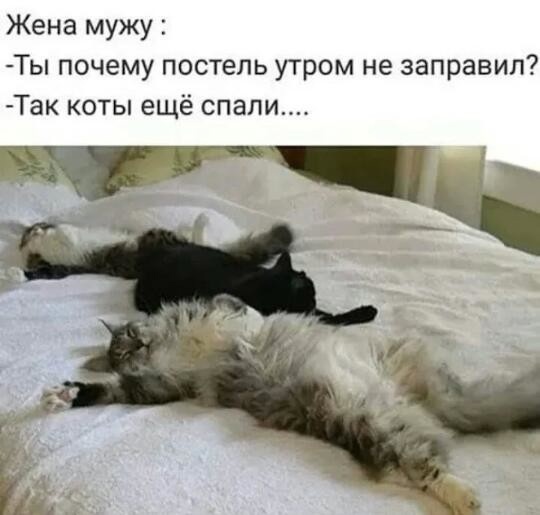 Так себе картинки 22.12.24