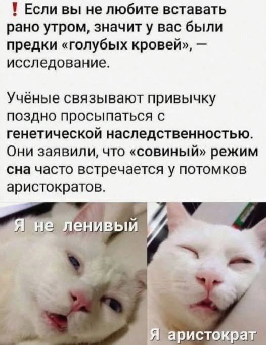 Весёлые картинки 2