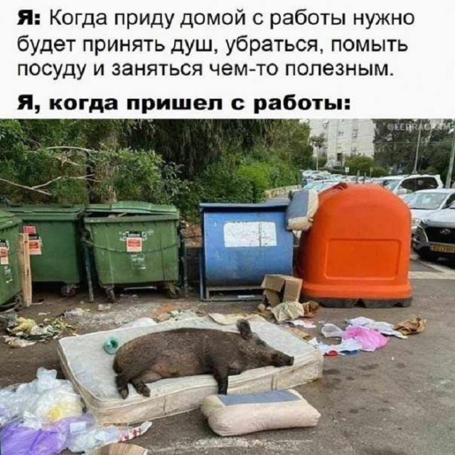 Сборная солянка