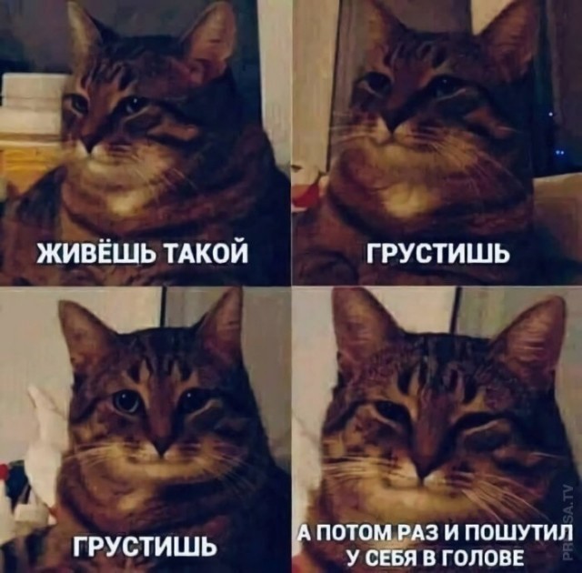 Решил поделиться моей коллекцией боянов