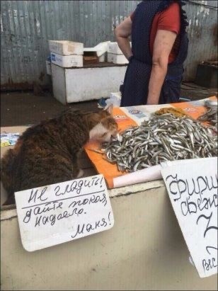 Прикольные и просто красивые картинки 05.08.2025