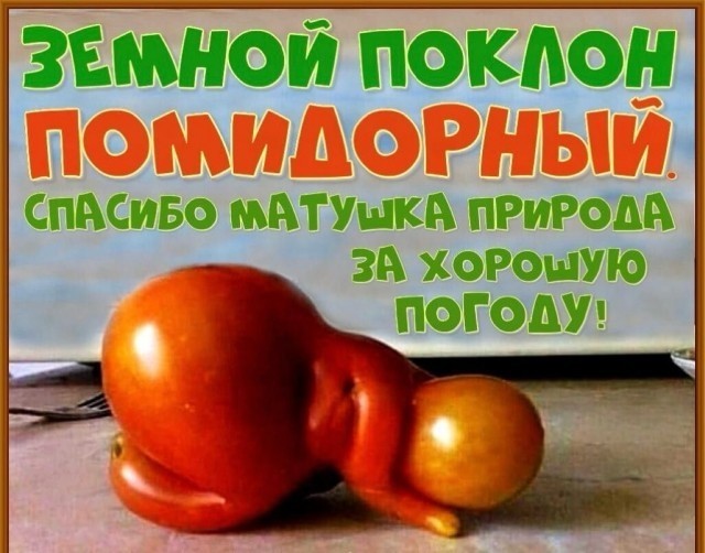 Отсутствие морально этических норм Vol.50