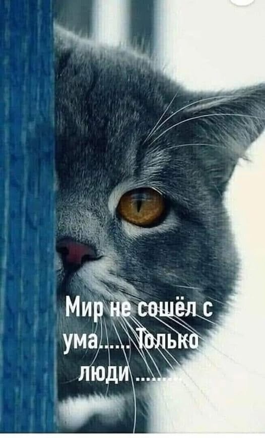 Нуштош. Проблема высасывания глаз у стрекоз (s5e1)