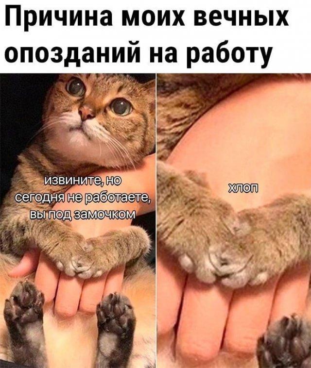 Маленькая пятница 10.12