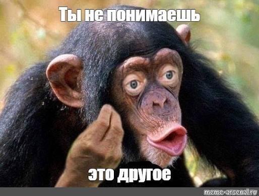 «Вы уже даже не пародия»: Джоан Роулинг осудила молчание о кровавом подавлении протестов в Иране