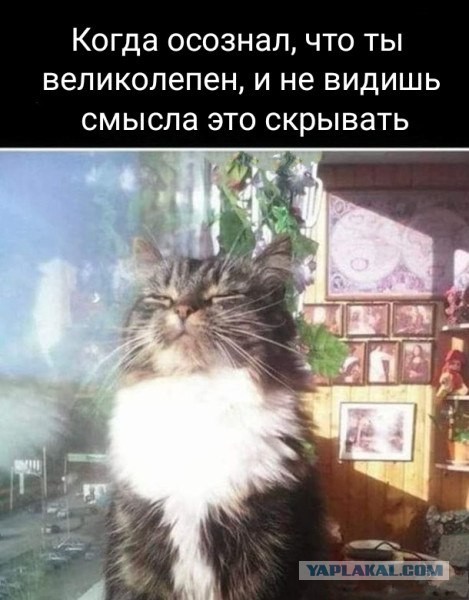 Поклоняйтесь мне