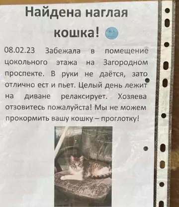 Картиночки, баянчики 10 марта
