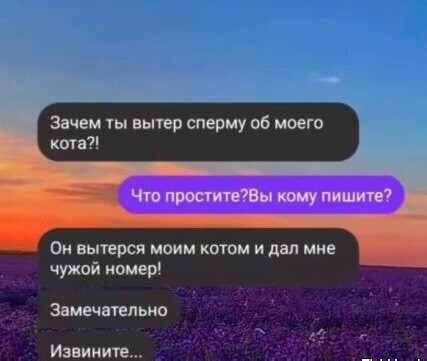 Картинки для деградации 278 (разной степени свежести)
