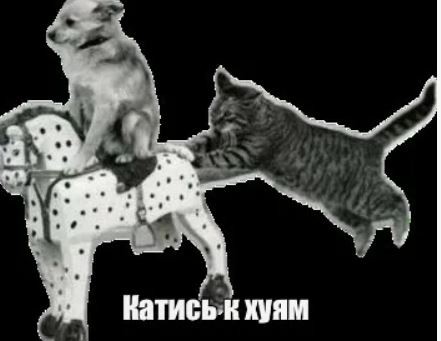 Сделать все дороги в России платными предложили во ВШЭ