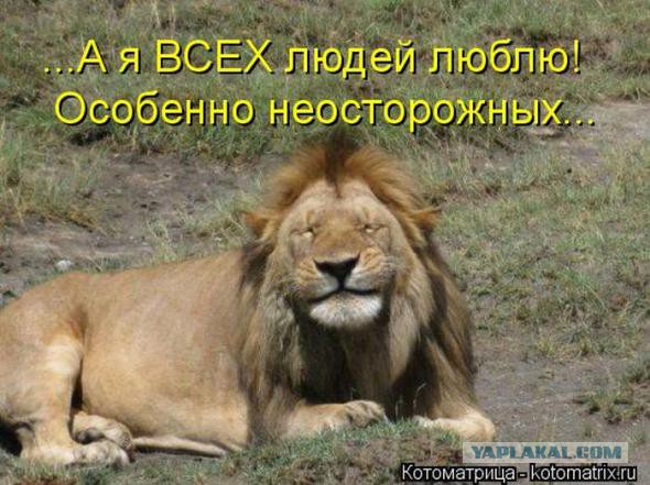 Удивительная дикая природа