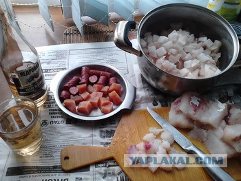 Хе из судака