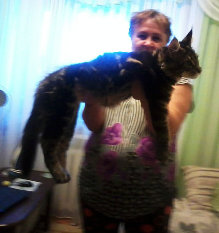 Котовторник 01.04.2014