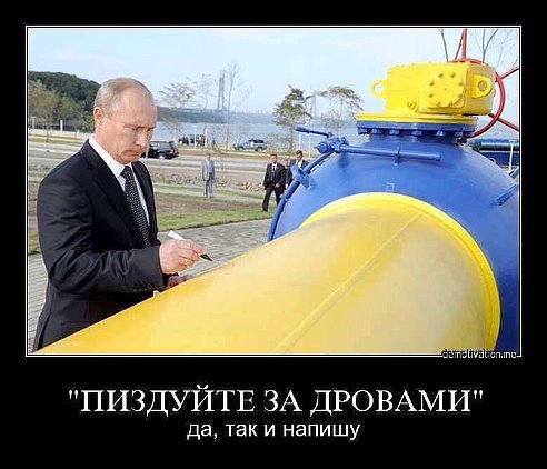 Путин о реакции США на послание ЕС