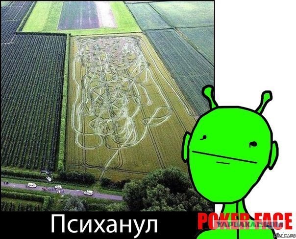 С водителем тяжелого погрузчика - шутки плохи!