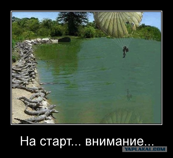 Подборка смешных картинок :)